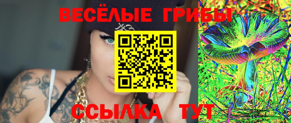 Лосино-Петровский  Псилоцибиновые грибы мухоморы  Вход с VPN 